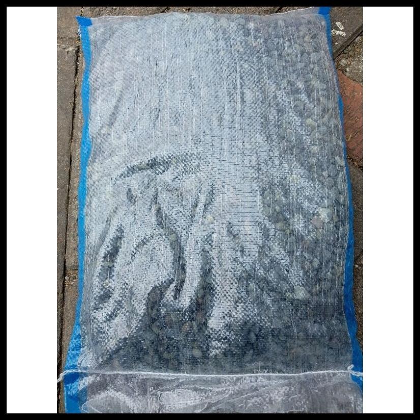 BATU KORAL SIKAT HITAM/PANCAWARNA 10KG KARUNGAN