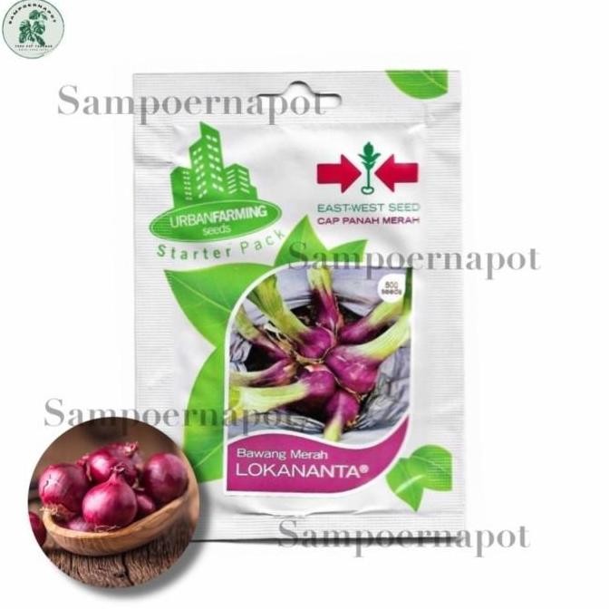 

Terlaris Ankn Benih Bibit Bawang Merah Lokananta Cap Panah Merah - Lokananta