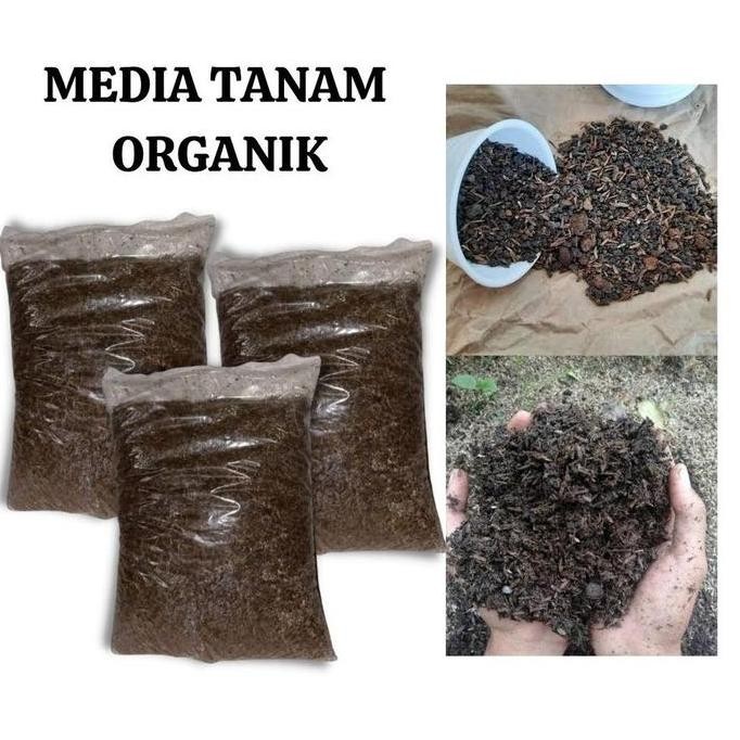 

Terlaris Media Tanam (Metan) Organik Siap Pakai 1Kg Komplit : Sekam, Tanah Subur, Humus, Dan Pupuk Kandang