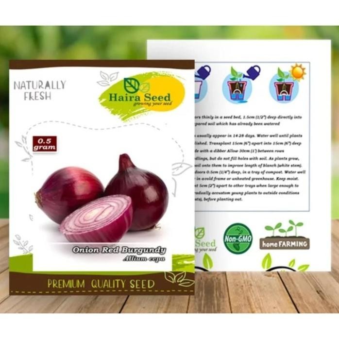 

Terlaris Grosir Promo Promo Benih Bibit Buah Bawang Bombay Merah/Onion Red Burgundy Ninufarm