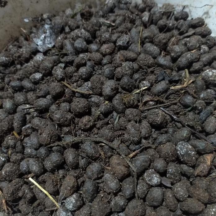 

Terlaris Pupuk Kandang Basah/Pupuk Kandang Kambing Organik Murni