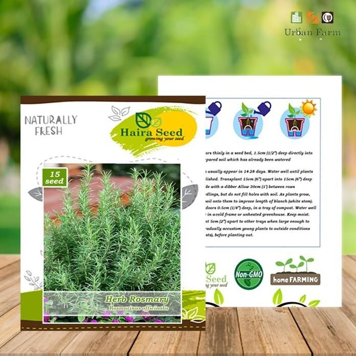 

Terlaris Ready Terlaris Benih-Bibit Herba Rosemary (Haira Seed)