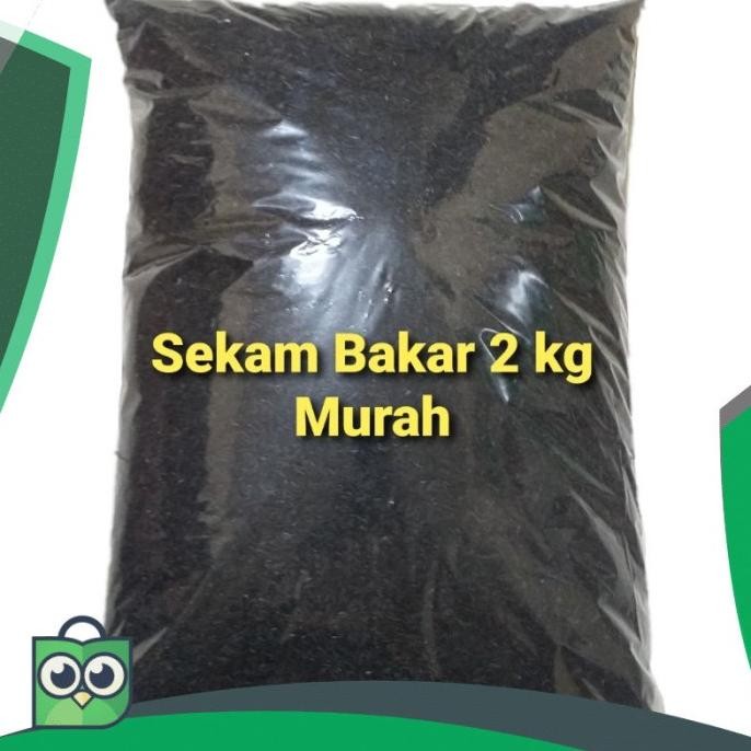 

Terlaris Terbaru Media Tanam Sekam Bakar Mix Pupuk Kandang 2 Kg Baik Untuk