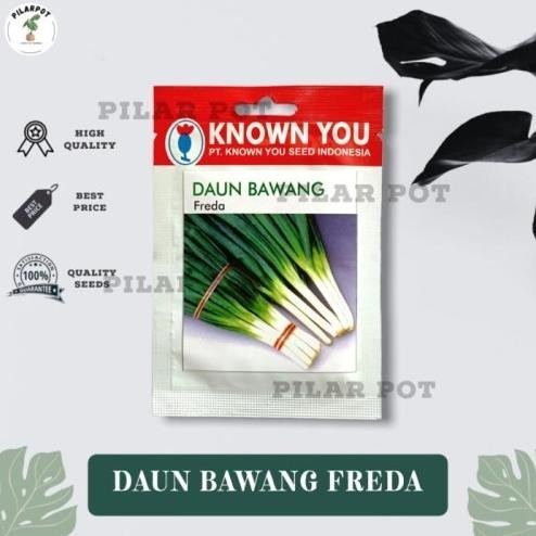 

Terlaris Best Benih Bibit Daun Bawang Freda Known You Seed - Kys Kemasan Merah