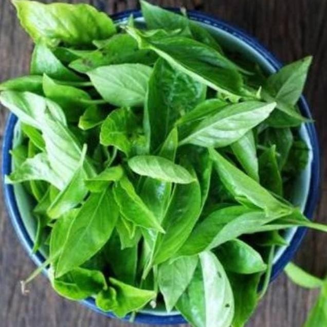 

Terlaris Ready Terlaris Bibit Benih Biji Tanaman Herbal Oregano Basil Catnip Thyme Kemangi Rosemary