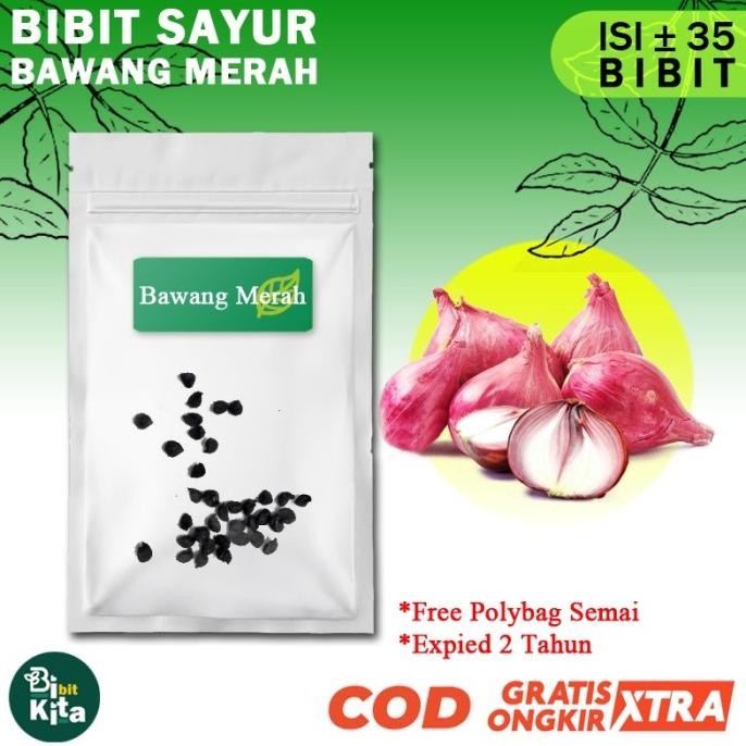 

Terlaris Bibit Bawang Merah Biji Benih Tanaman Sayuran Daun Hidroponik