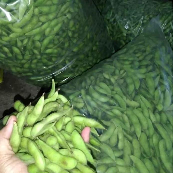 

|| BANANA / Benih Edamame PREMIUM 1 kg Kedelai Jepang Jumbo Ryoko ||~~~