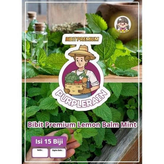 

Terlaris Bibit Premium Lemon Balm Mint|Benih Lemon Balm Mint|Bibit Daun Lemon