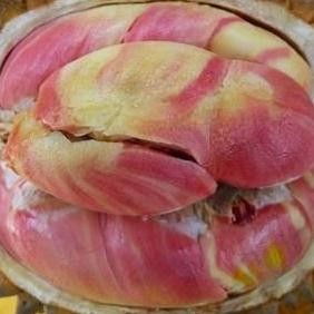 

Terlaris Bibit Tanaman Durian Pelangi - Unik - Aneka Warna Pada Buahnya