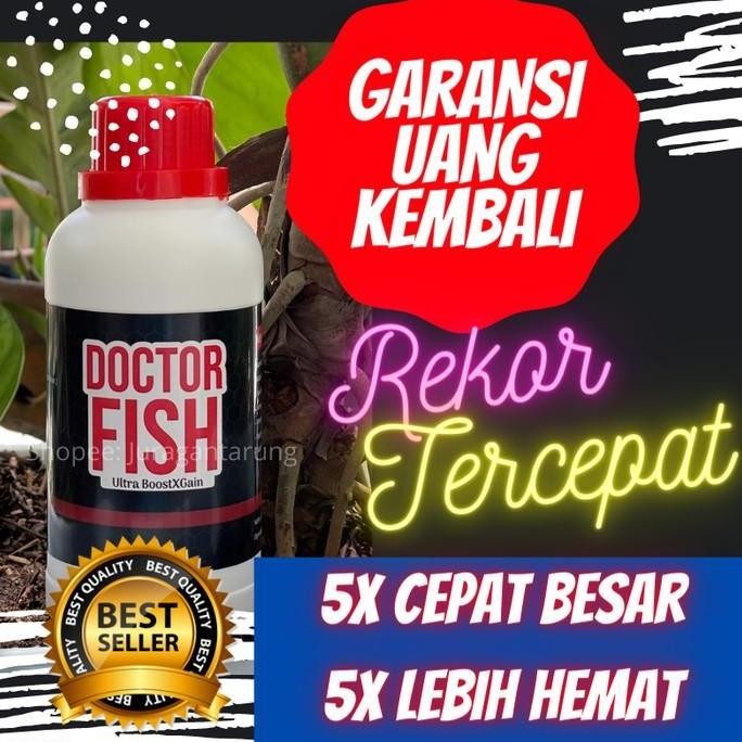 Terlaris Vitamin Ikan Gabus Agar Cepat Besar,Vitamin Ikan Gabus Terbaik 