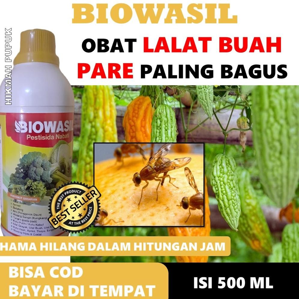 COD AMAN BIOWASIL INSEKTISIDA LALAT BUAH PARE PALING LARIS, Obat Anti Rontok Buah Pare Sebelum Masak