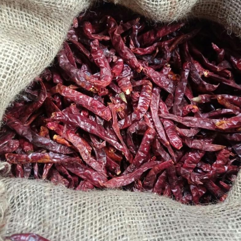 

cabe teja pedas Cabe merah kering rawit cabe rawit teja super pedas Cabe Teja 1kg tanpa tangkai
