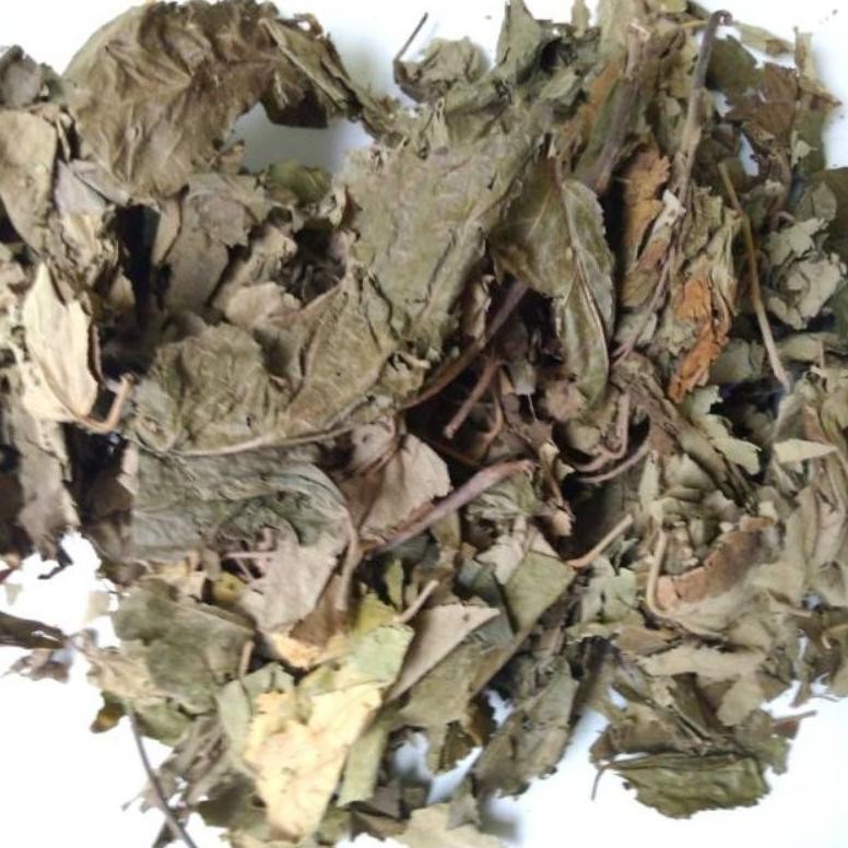 

Daun Jati Belanda Kering isi 250 Gram