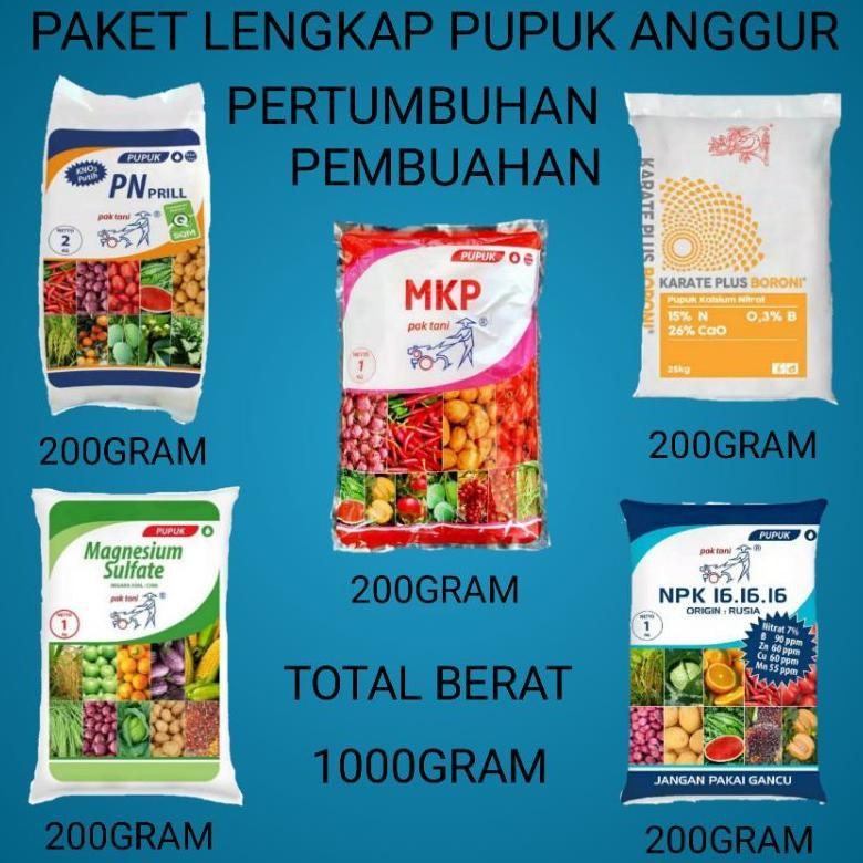 NEW Pupuk anggur paket lengkap pupuk pertumbuhan pembuahan anggur