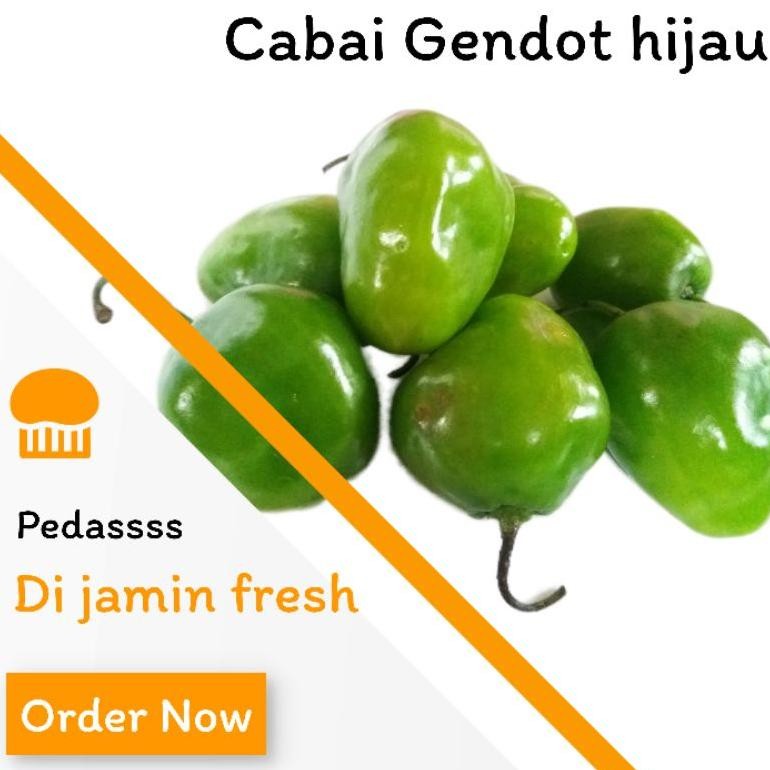 

Keunggulan Cabai Gendot Hijau Bandung 1 Kg Pengganti Cabai Rawit