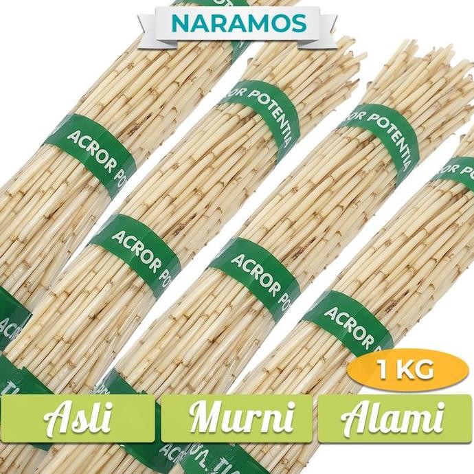 

akar alang alang segar 1kg murah
