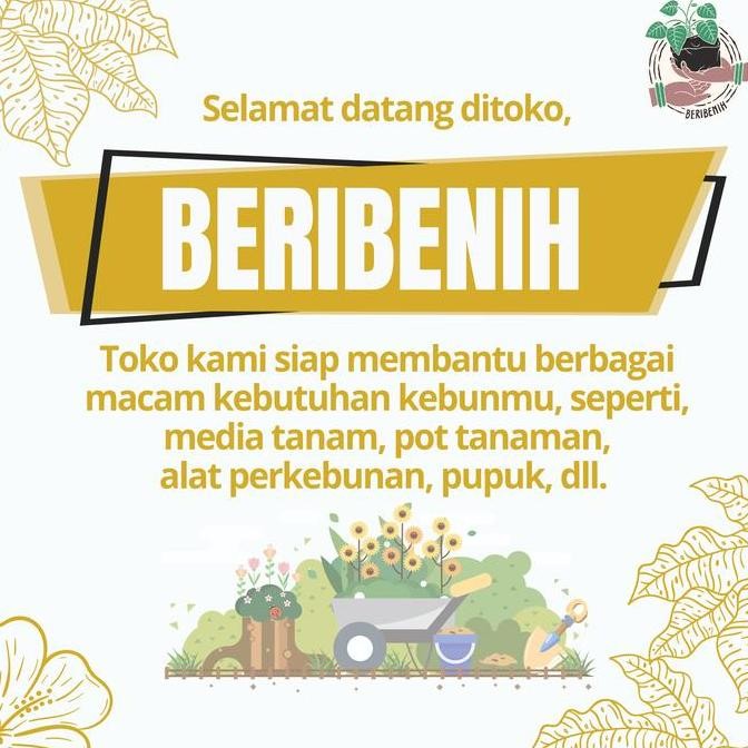 INSEKTISIDA ZPT REGENT 50 SC Obat Pembasmi Hama Rayap Kutu Tanaman 100 [terbaik]