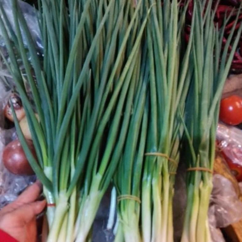 

Original Daun Bawang Kecil-Kecil/Daun Sop/Daun Bawang Per Ikatan Kecil