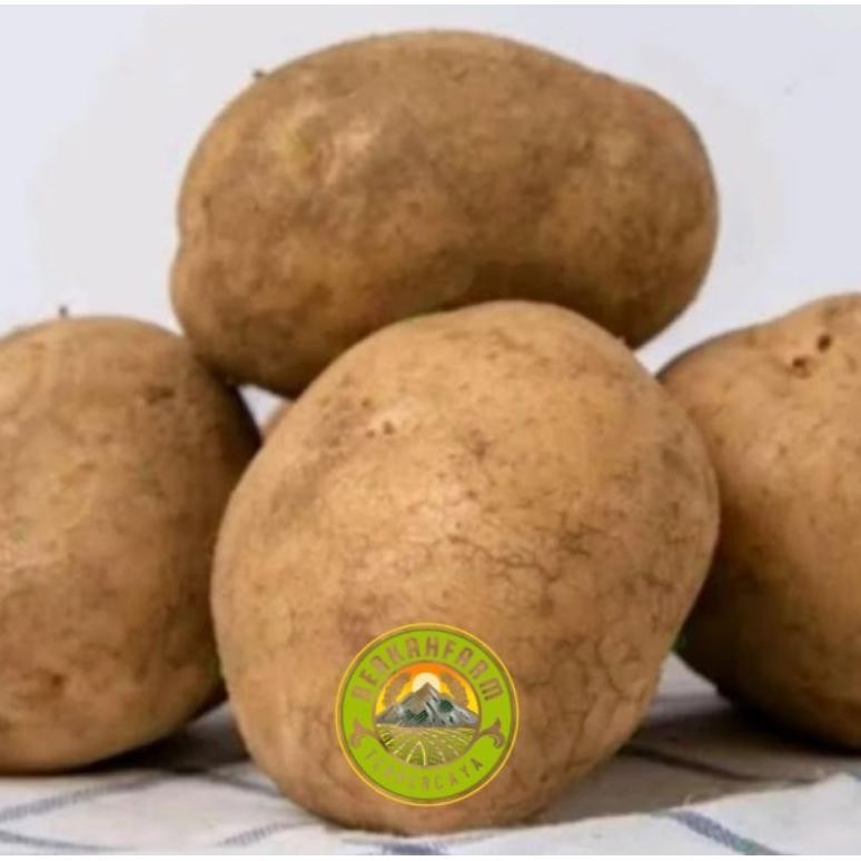 

Kenyamanan Kentang Dieng 1Kg Kualitas Terbaik Khas Wonosobo