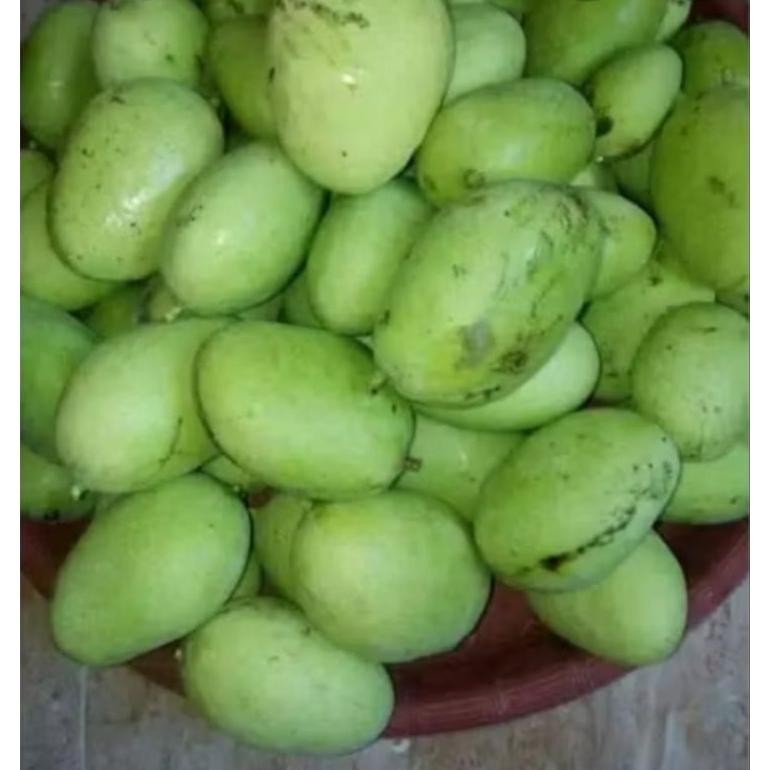

Tangguh Mangga Muda 1 Kg