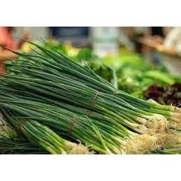 

Garansi Daun Bawang Pre Segar, 1 Ikat