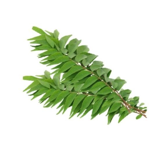 

Kenyamanan Fcw - Daun Kari Segar 1 Ikat