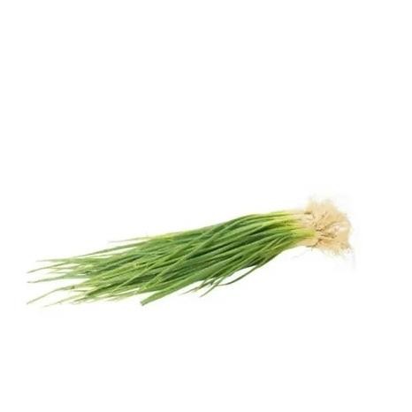 

Terlaris Daun Bawang Chung 100Gram