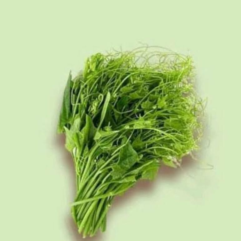 

Penuh Inovasi Daun Pucuk Labu Siyam/Daun Pucuk Waluh Hijau Segar 200Gram