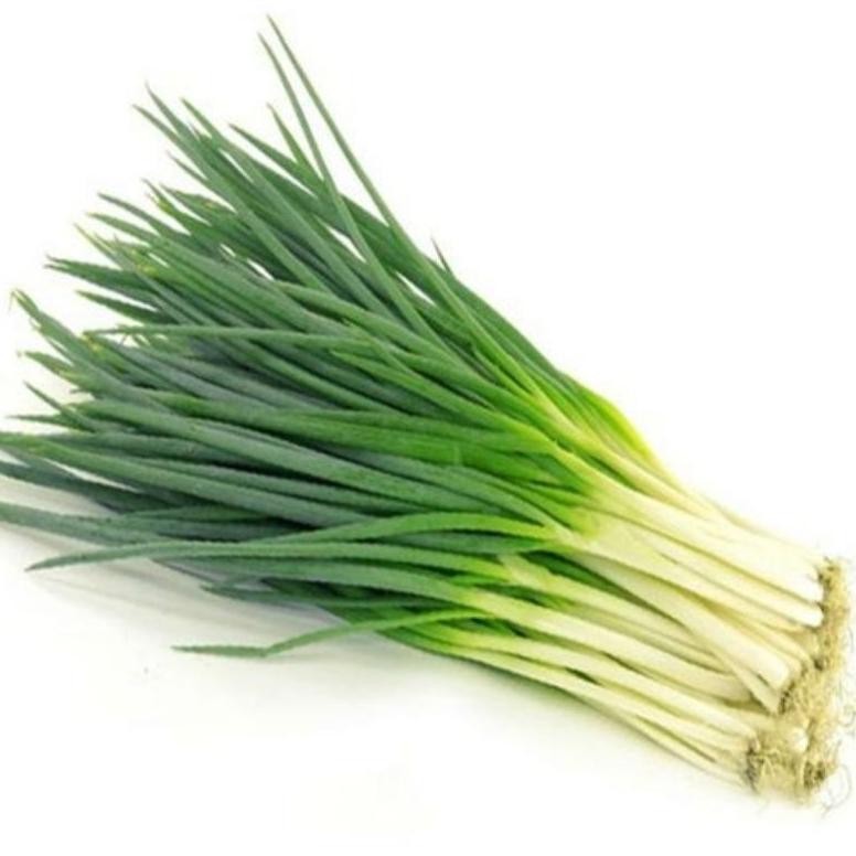 

Terbaru Daun Bawang Prei 200 Gram - Surabaya