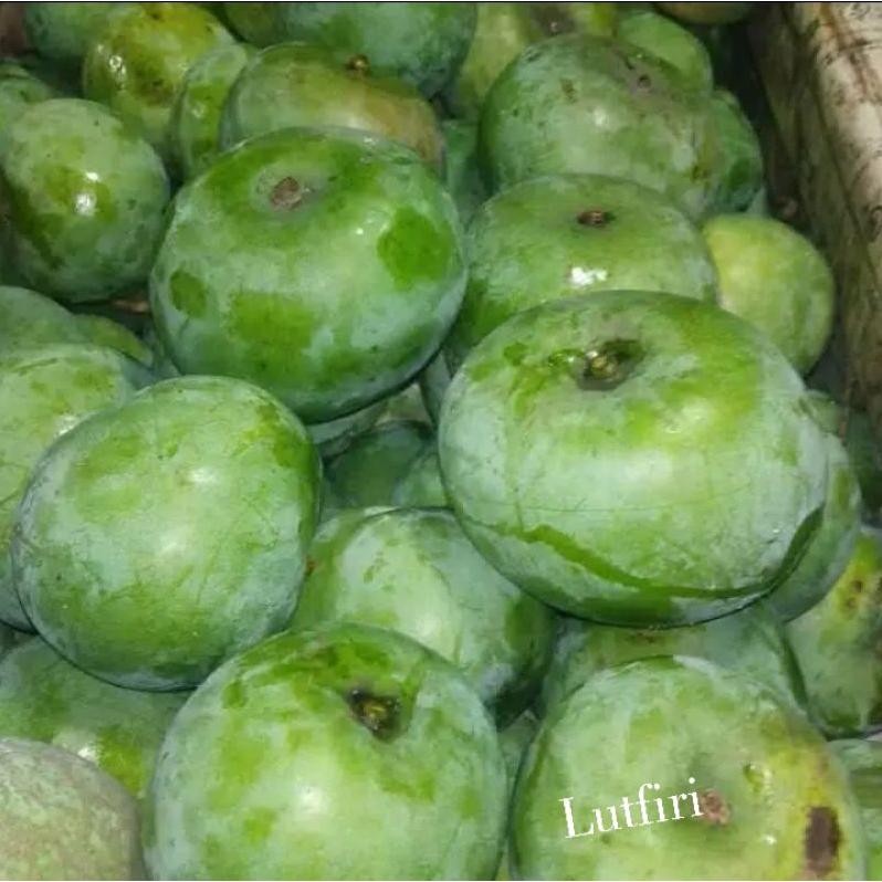 

Cod Mangga Apel Mentah 1 Kilogram ( Rasa Masam / Asam ) Pas Buat Di Rujak Dan Di Makan Segar Mangga Muda Mantap Asam Asem