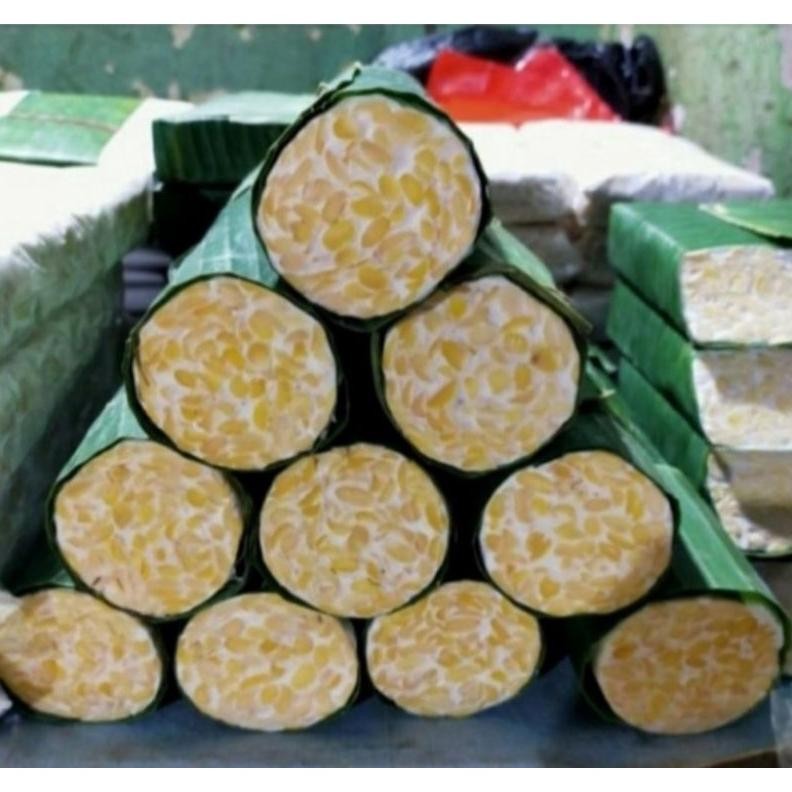 

Pilihan Tepat Tempe Bulat / Tempe Bundar Ukuran Panjang 1Pcs