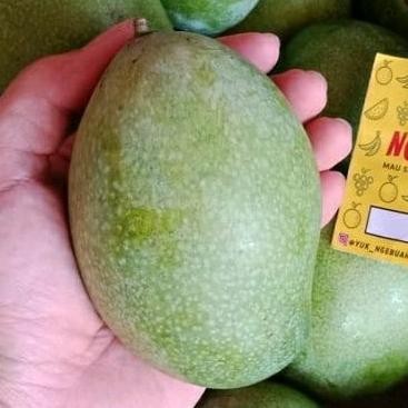 

Momen Spesial Mangga Manalagi Manis 1 Kg