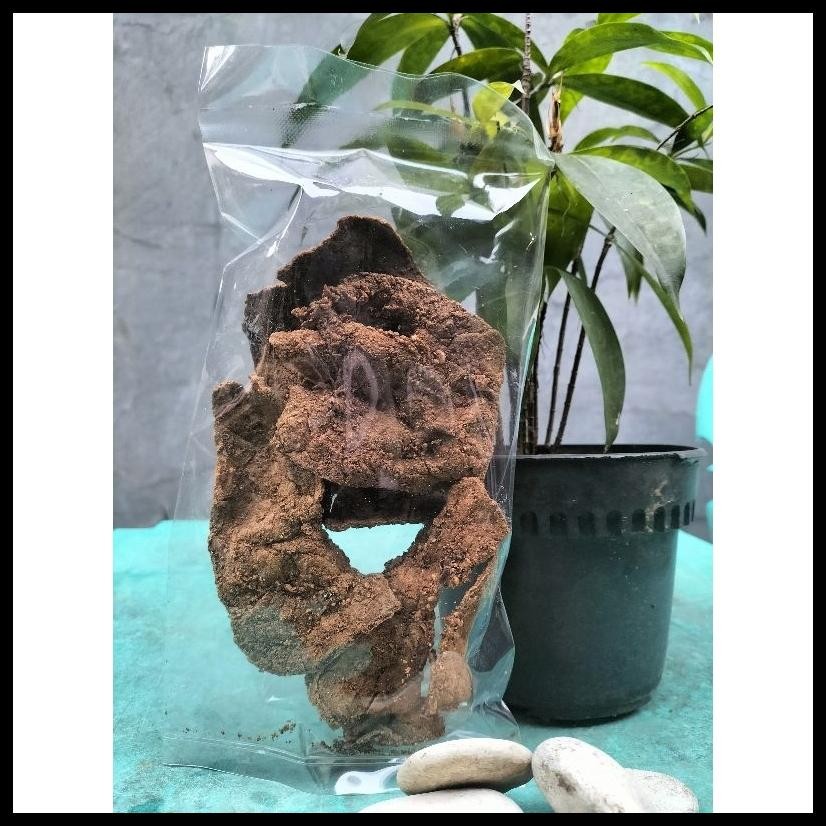 

DENDENG PARU GORENG KHAS PADANG PAKET HEMAT