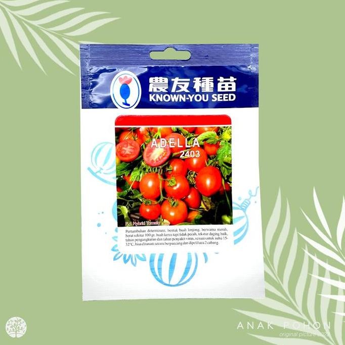 [1 PACK] Benih Tomat Adella 2403 F1 Hybrid Tomato - Known-You Seed murah