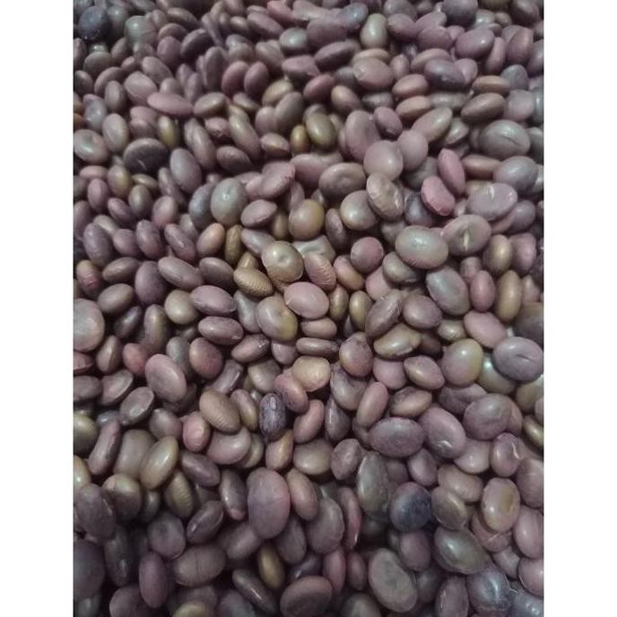 

Benih Bibit Biji - Kacang CHAMAME (Edamame Aroma PANDAN) - 250 Gram murah