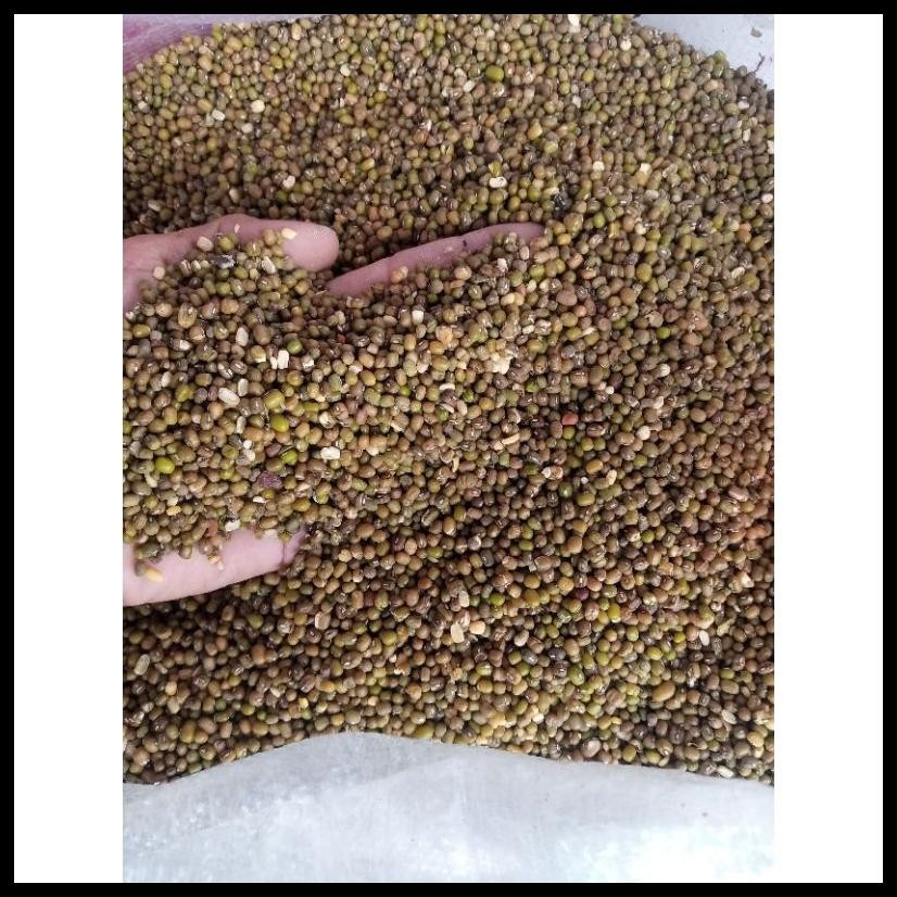 

KACANG HIJAU RIJEK UNTUK PAKAN UNGGAS REPACK 1 KG