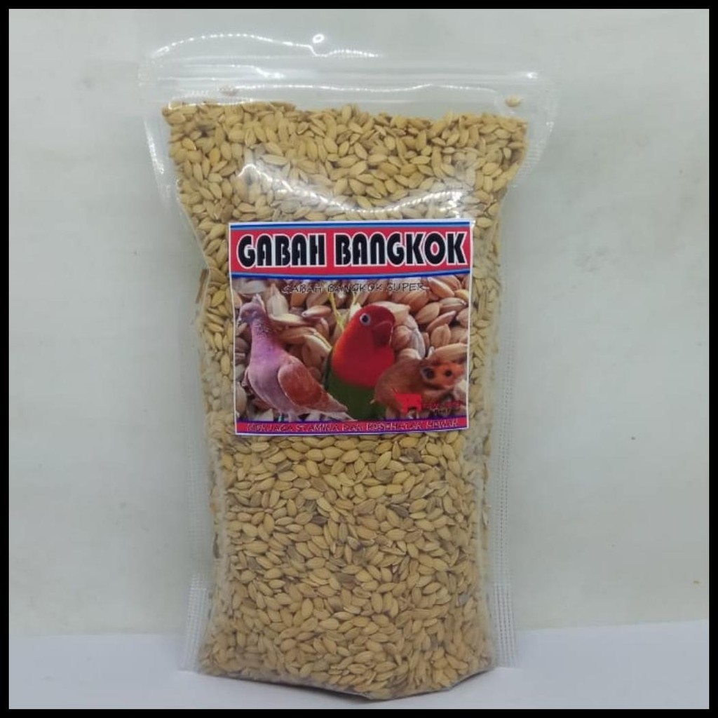 GABAH BANGKOK PREMIUM 1KG PAKAN MAKANAN BURUNG LOVEBIRD PERKUTUT KENARI