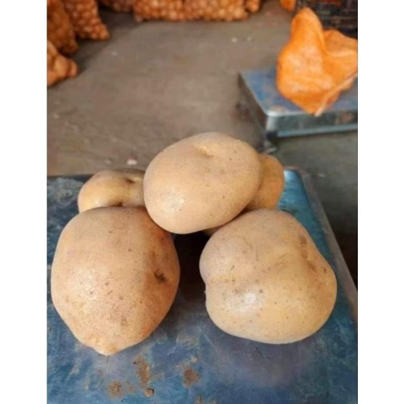 

Mampu Bersaing Kentang Super Segar Dieng Ukuran (Sedang 1Kg)