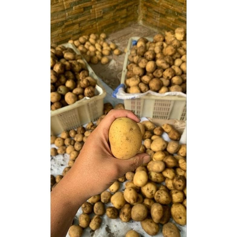 

Diskon Kentang Super Segar Dieng Ukuran (Sedang 1Kg)
