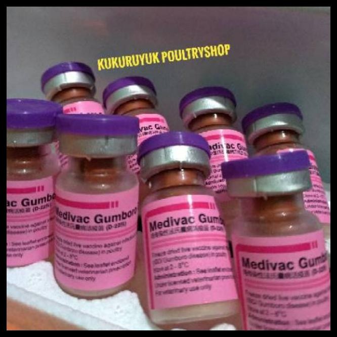 VAKSIN AYAM GUMBORO B DOSIS 100 500 AYAM