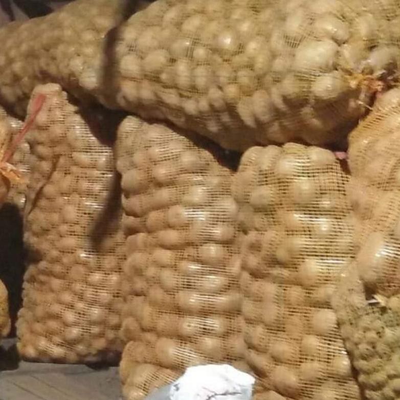 

Buktikan Elshop Kentang Dieng Fresh Bersih Murah 1 Kg (Kualitas Baik)