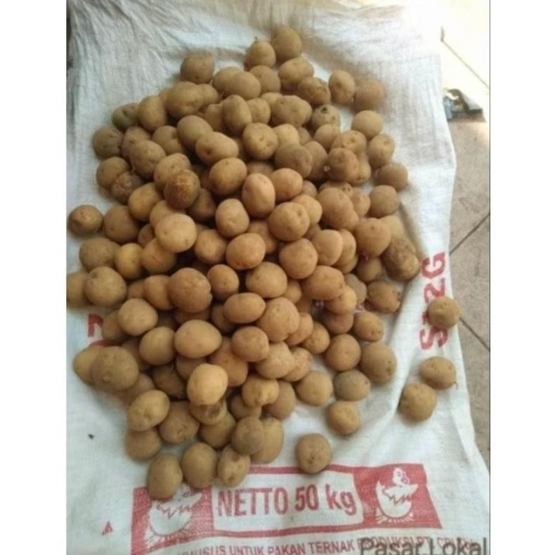 

Good Quality Kentang Super Segar Kecil Sedang Segar (1 Kg)