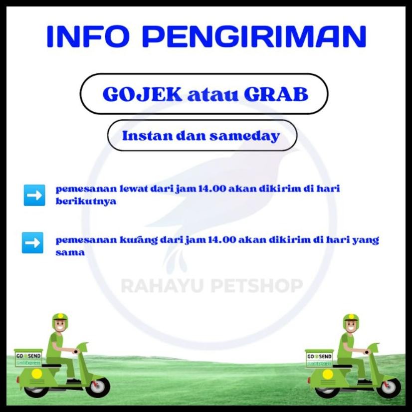 BERAS MENIR PAKAN AYAM 1 KG
