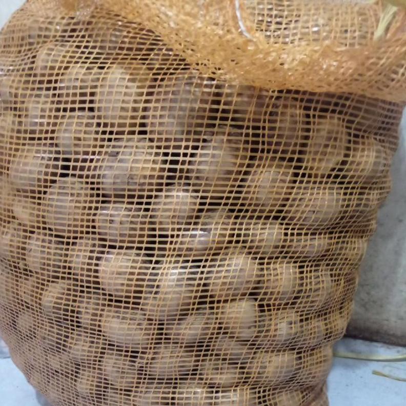 

Revolusioner Kentang Segar Jatim 500Gr