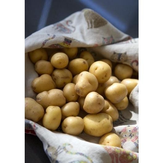 

Segera Kentang Mini 1 Kg