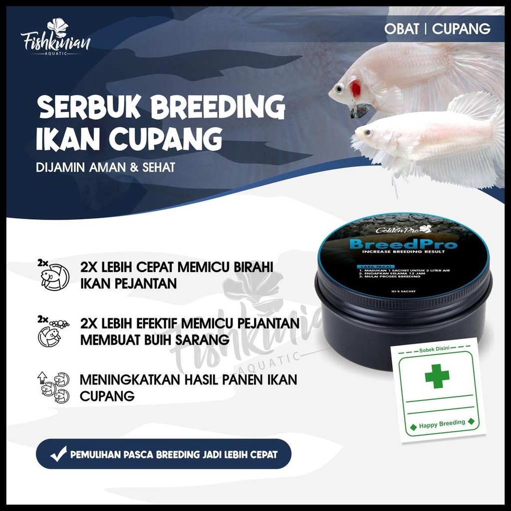 BREEDING CUPANG / KAWIN / TERNAK IKAN CUPANG - BREED PRO FISHKINIAN
