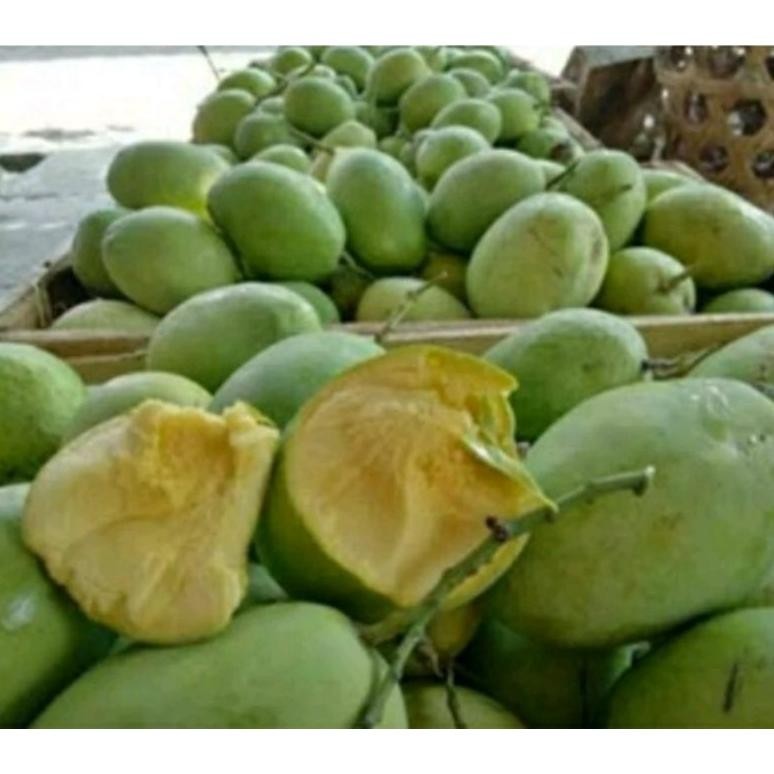 

Mewah Mangga Mangkal 1Kg