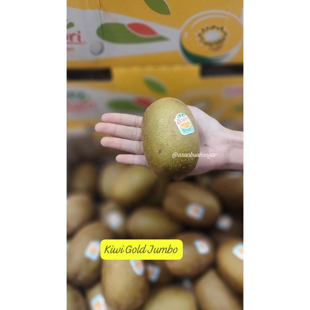

READY buah kiwi gold yellow zespri sungold manis kuning