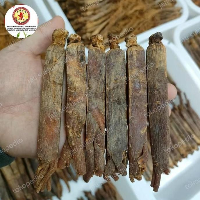 

Promo / Terlaris Grade Super Gao Li Shen Red Ginseng / Ginseng Merah / korea Ginseng Terbaik