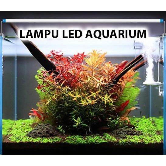 Lampu Led Aquarium Aquascape Kandila Vibrant Uva Uvb Wrgb